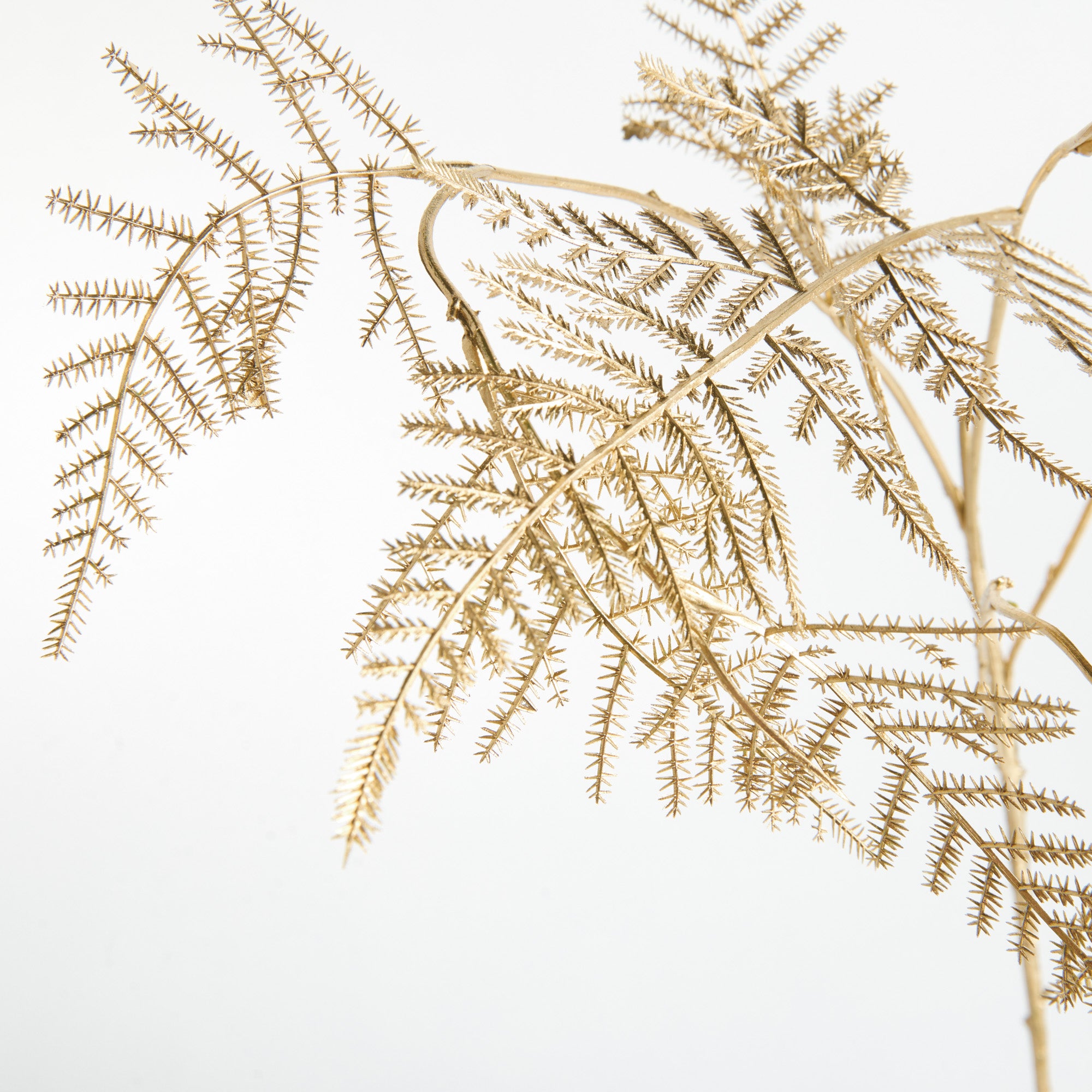 Gilded Fern Stems 36" St/4 - View 3