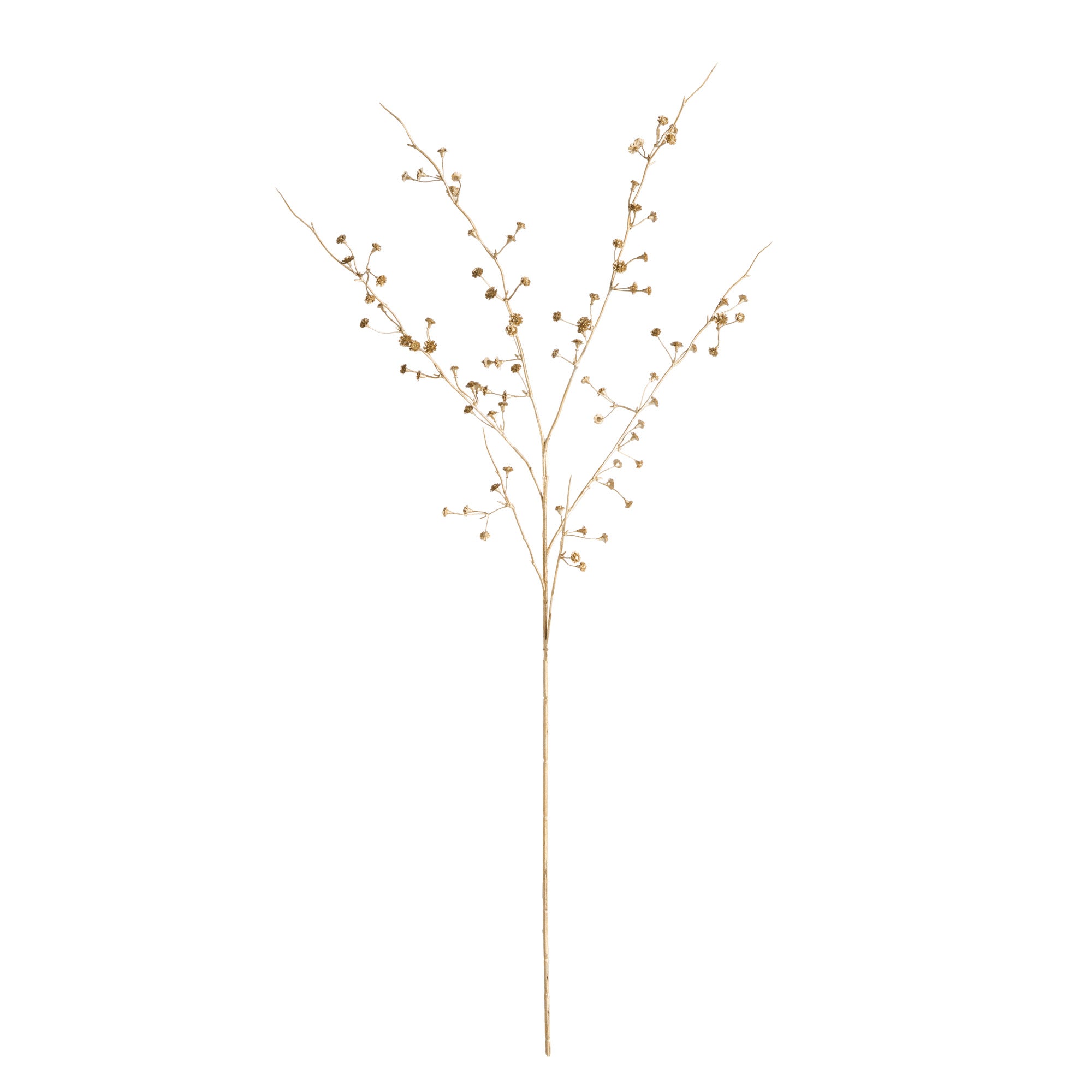 Gilded Baby'S Breath Stems 31" St/4