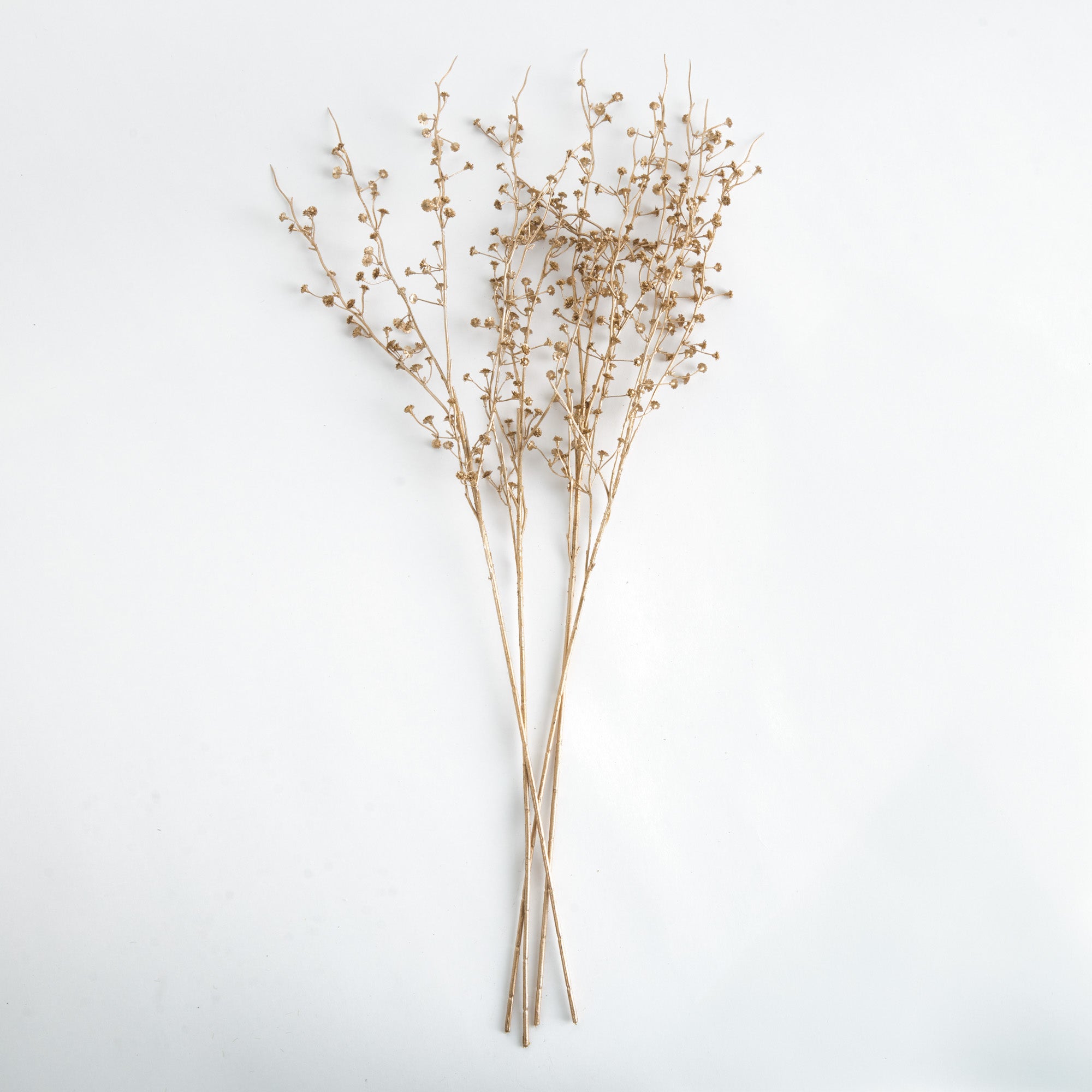 Gilded Baby'S Breath Stems 31" St/4 - View 2