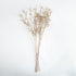 Gilded Baby'S Breath Stems 31" St/4 - View 2