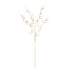 Gilded Baby'S Breath Stems 31" St/4