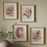 WATERCOLOR SEAWEED PRINTS, SET OF 4 - view 2