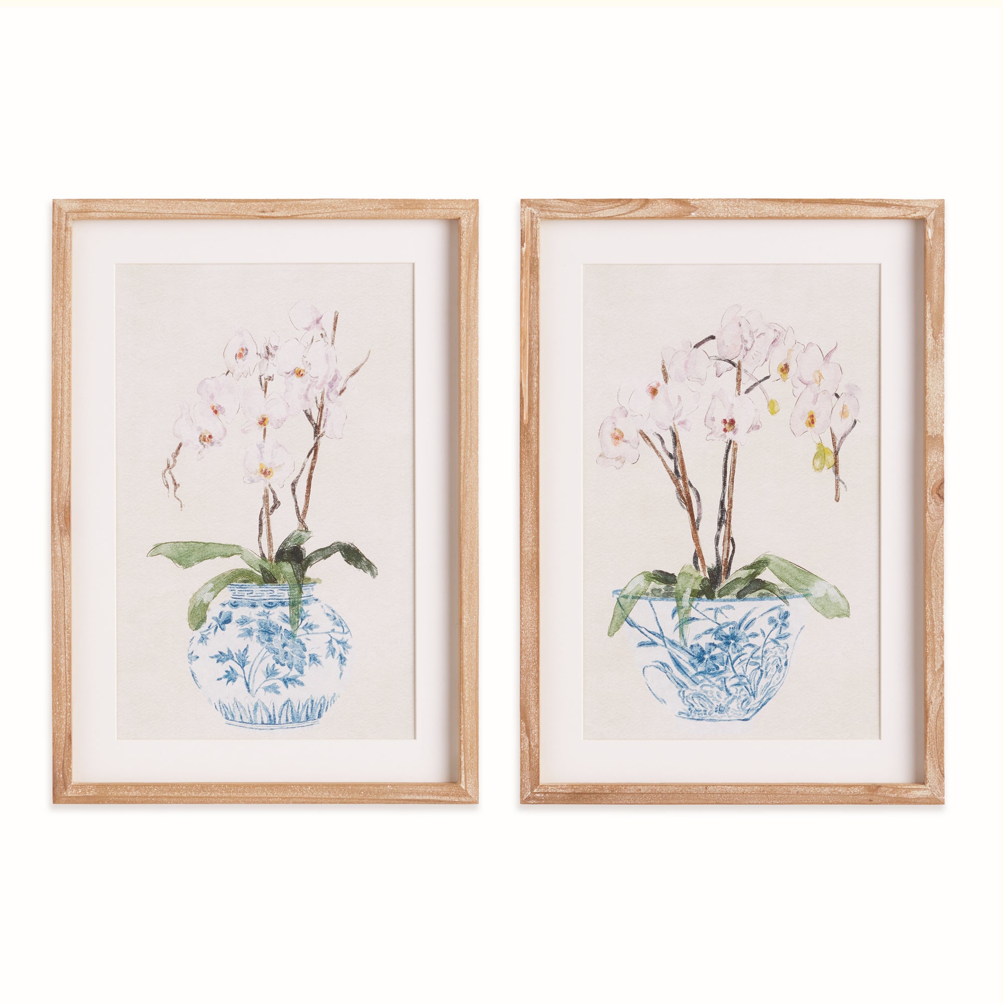 POTTED PHALAENOPSIS PRINTS, SET OF 2
