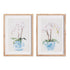 Potted Phalaenopsis Prints, Set Of 2