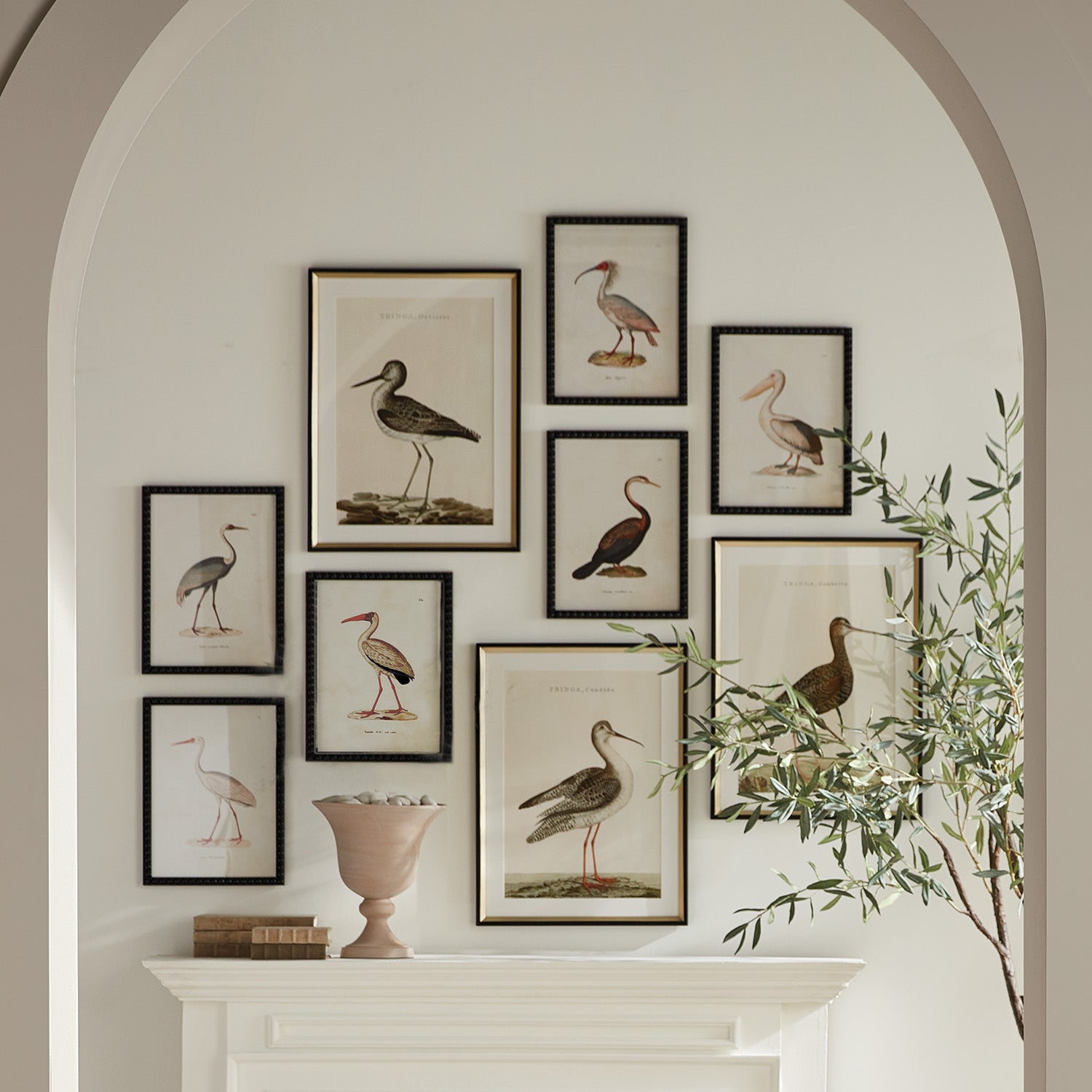 Aquatic Birds Study, Set Of 9 - View 4