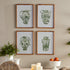 CHINOISERIE JAR PRINTS, SET OF 4 - view 3