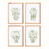 CHINOISERIE JAR PRINTS, SET OF 4