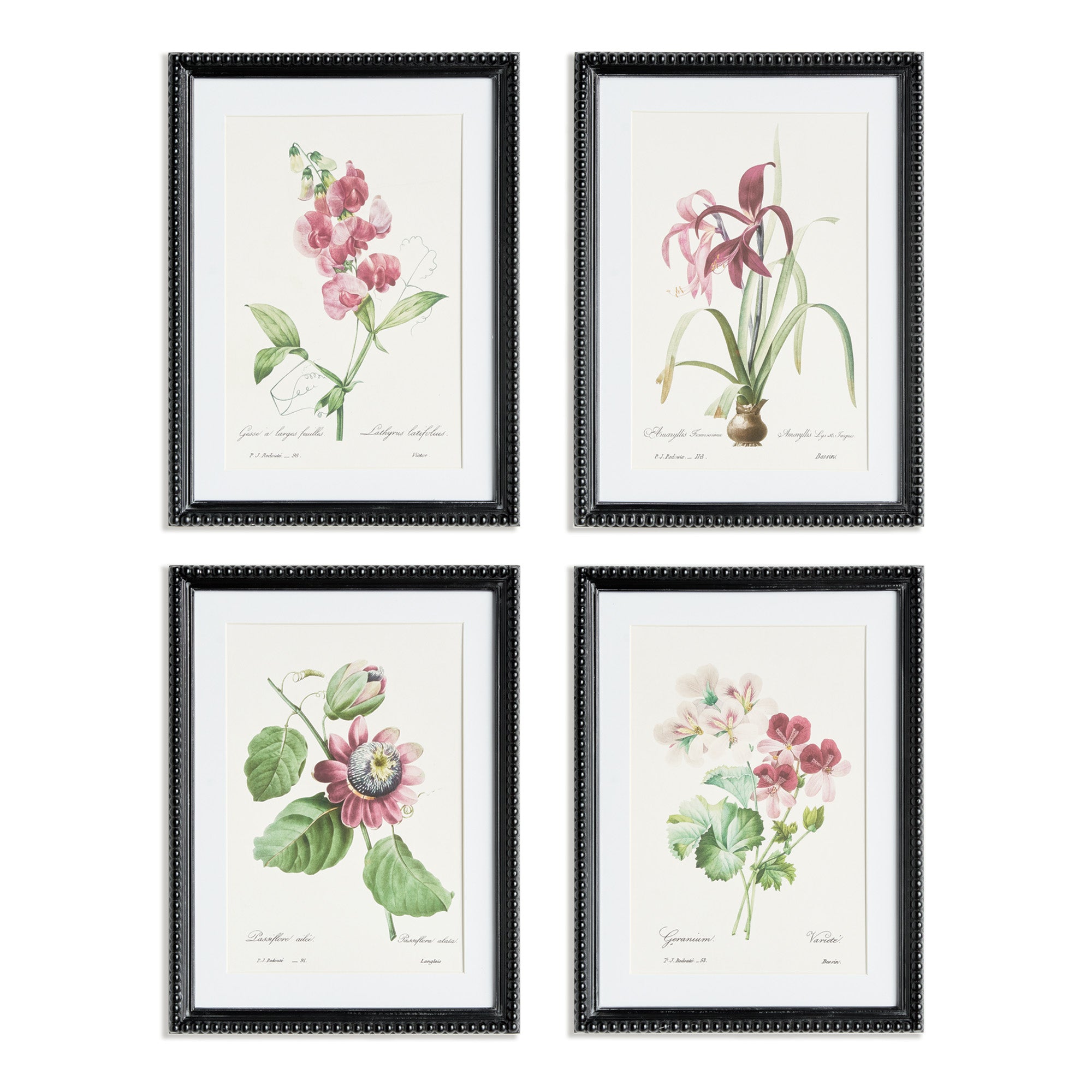 Blush Blooms Study St/4