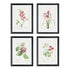 Blush Blooms Study St/4