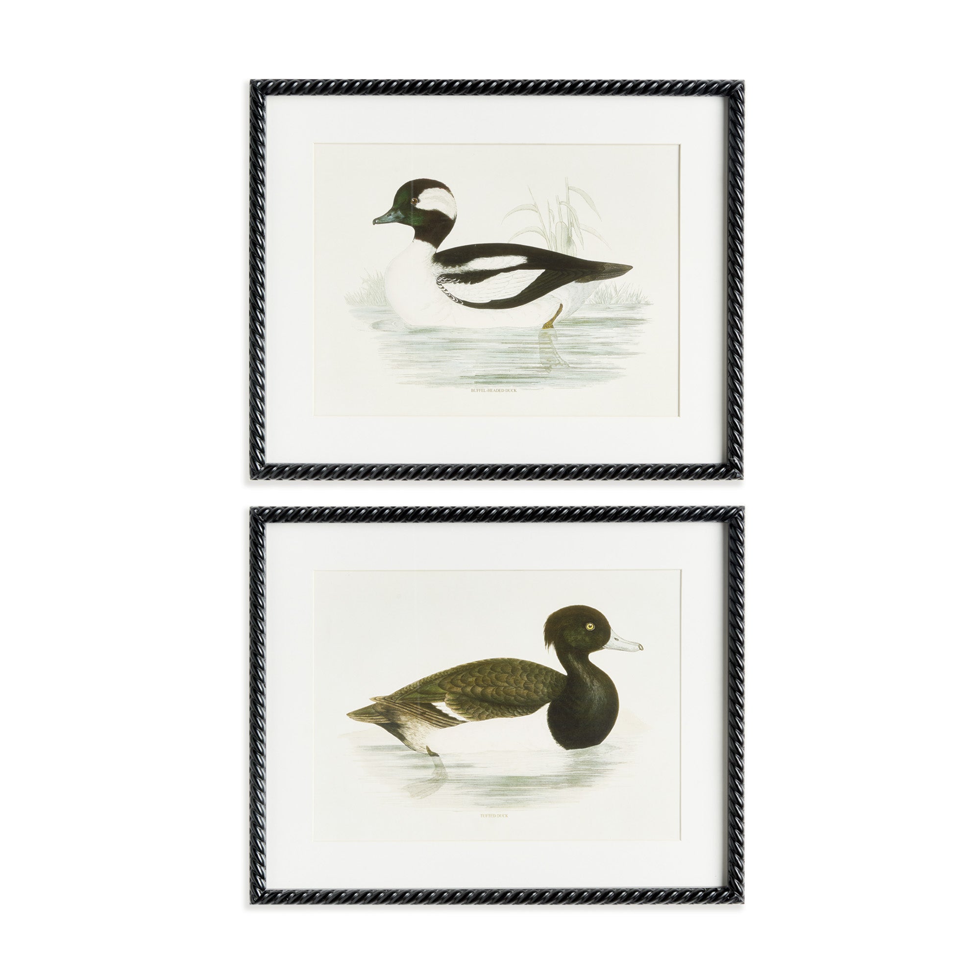 Wading Duck Prints St/2