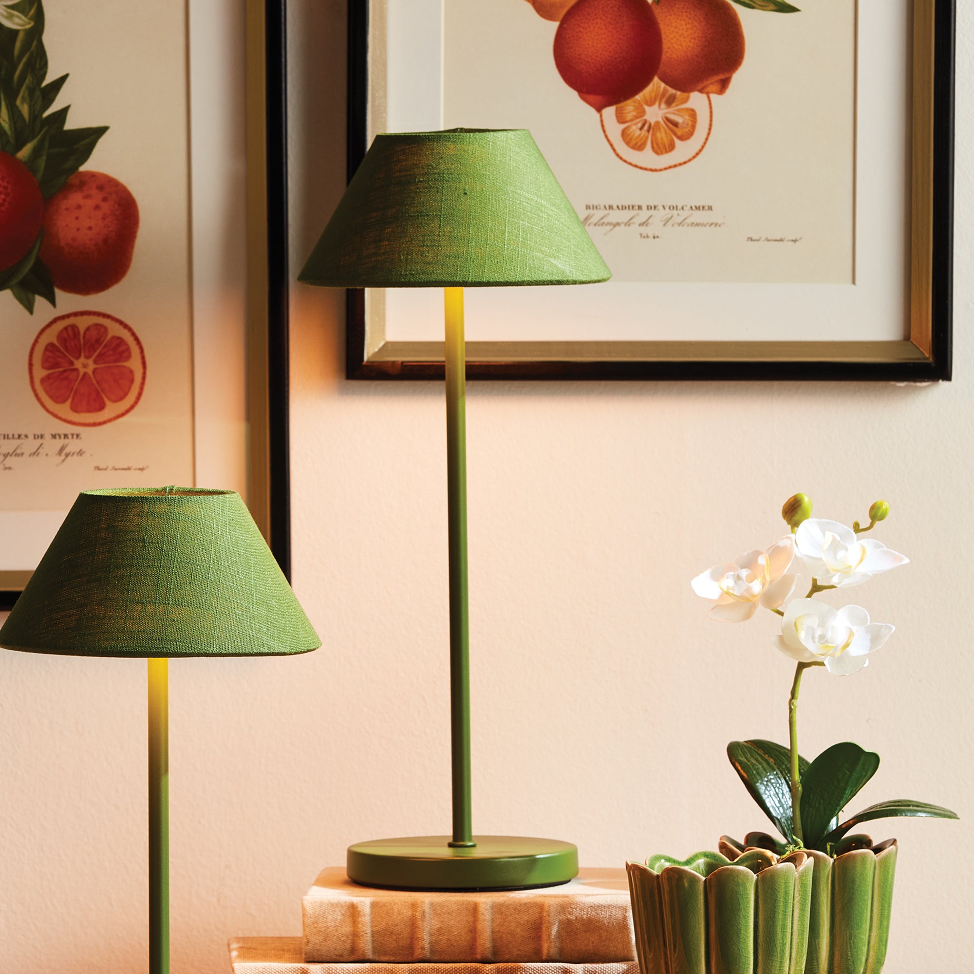 Alluna Cordless Led Lamp 14" - View 10