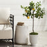 Kathryn Pots, Set Of 2 - View 2