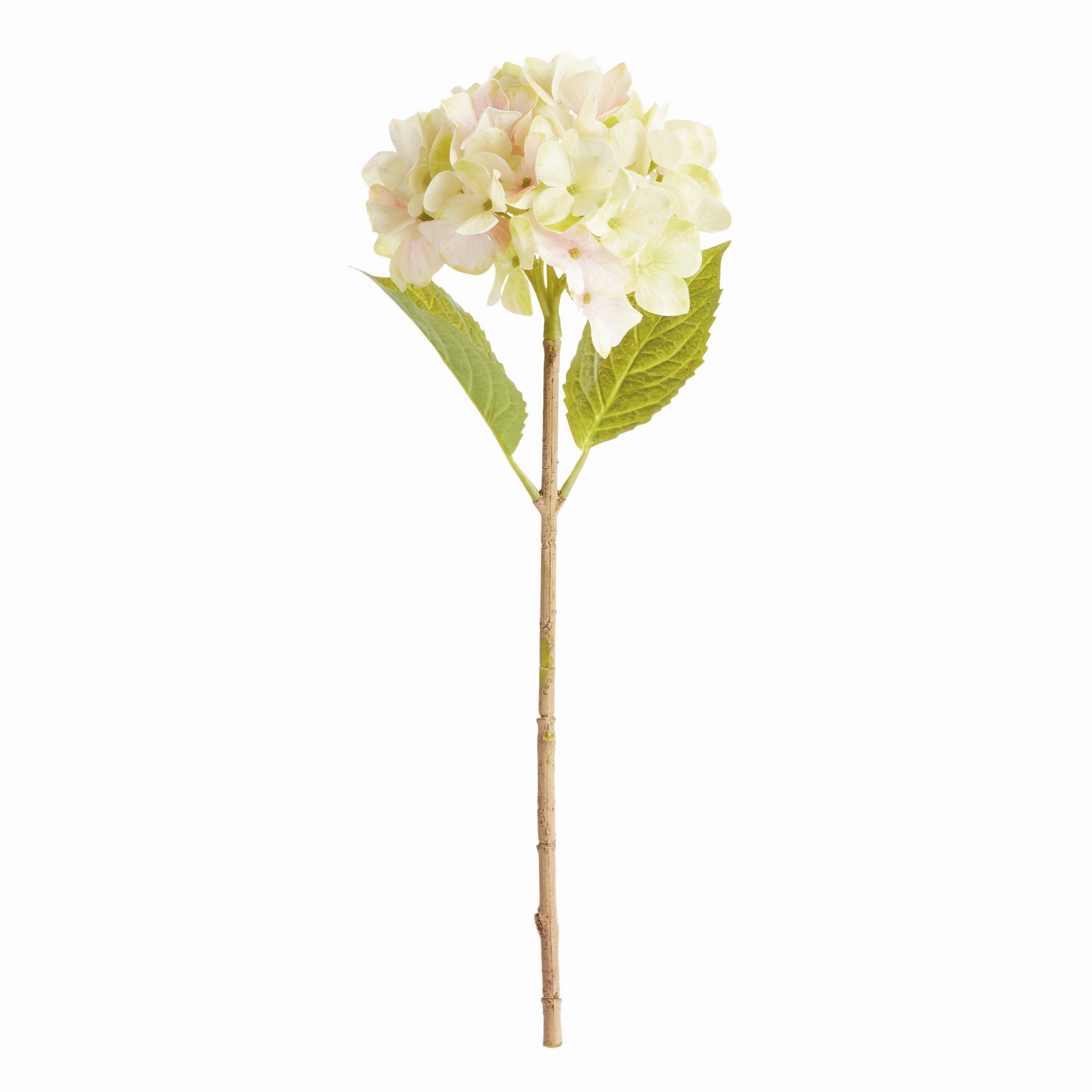 Hydrangea Stems 18", Set Of 6