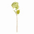 Mophead Hydrangea Stems 30.5", Set Of 4