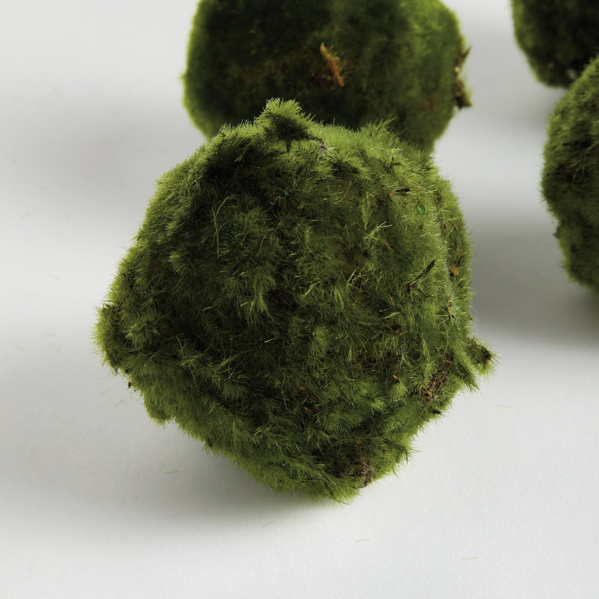 Moss Orbs 4" St/6 - View 3