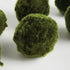 Moss Orbs 4" St/6 - View 4