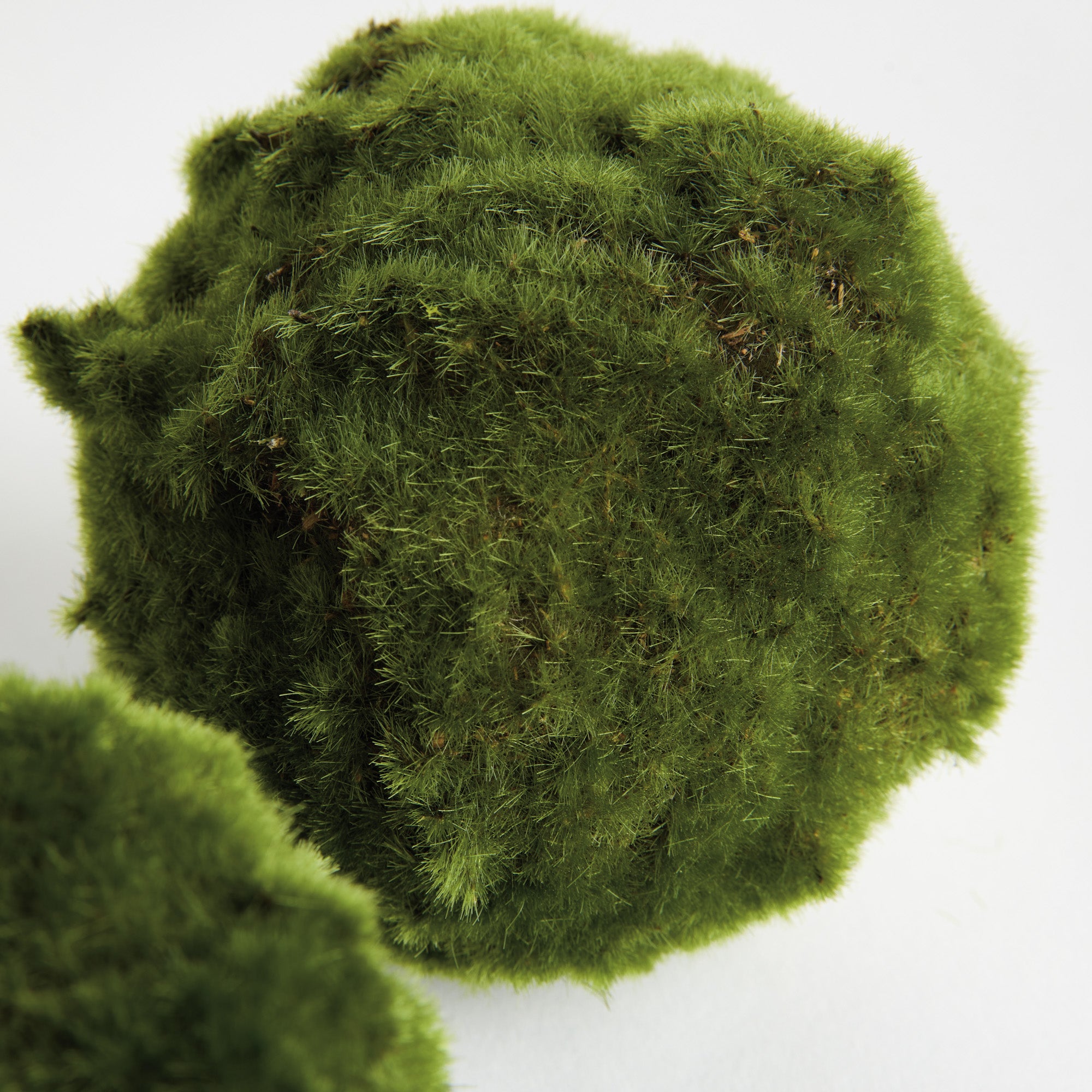 Moss Orbs 5" St/3 - View 4