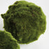 Moss Orbs 5" St/3 - View 4