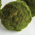 Moss Orbs 7" St/3 - View 3