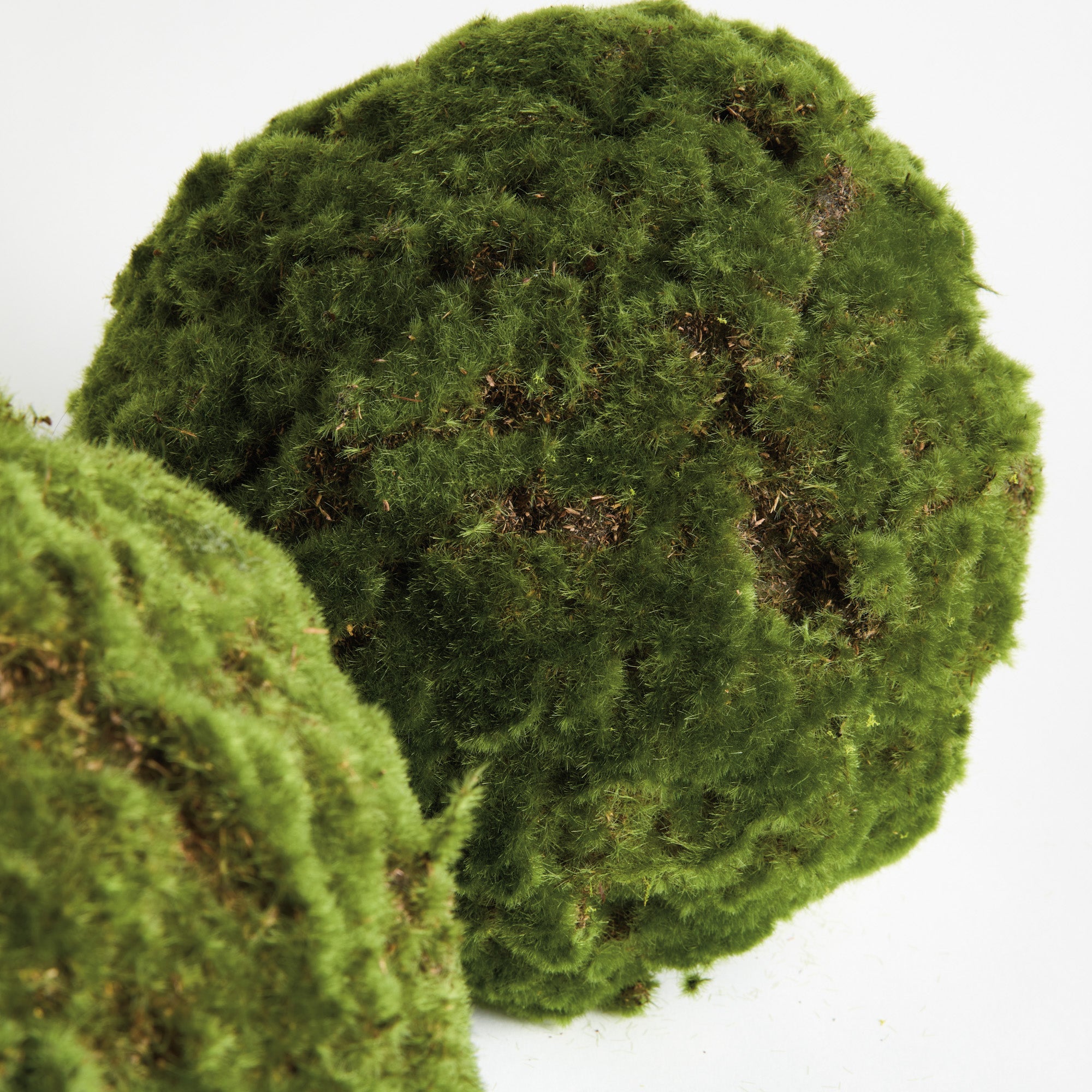 Moss Orbs, Set Of 2 - alternate view 3