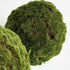 Moss Orbs, Set Of 2 - alternate view 3