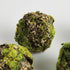 Mossy Lichen Orbs 3.5" St/6 - View 2