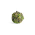 Mossy Lichen Orbs 3.5" St/6