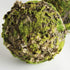 Mossy Lichen Orbs 8" St/2 - View 3