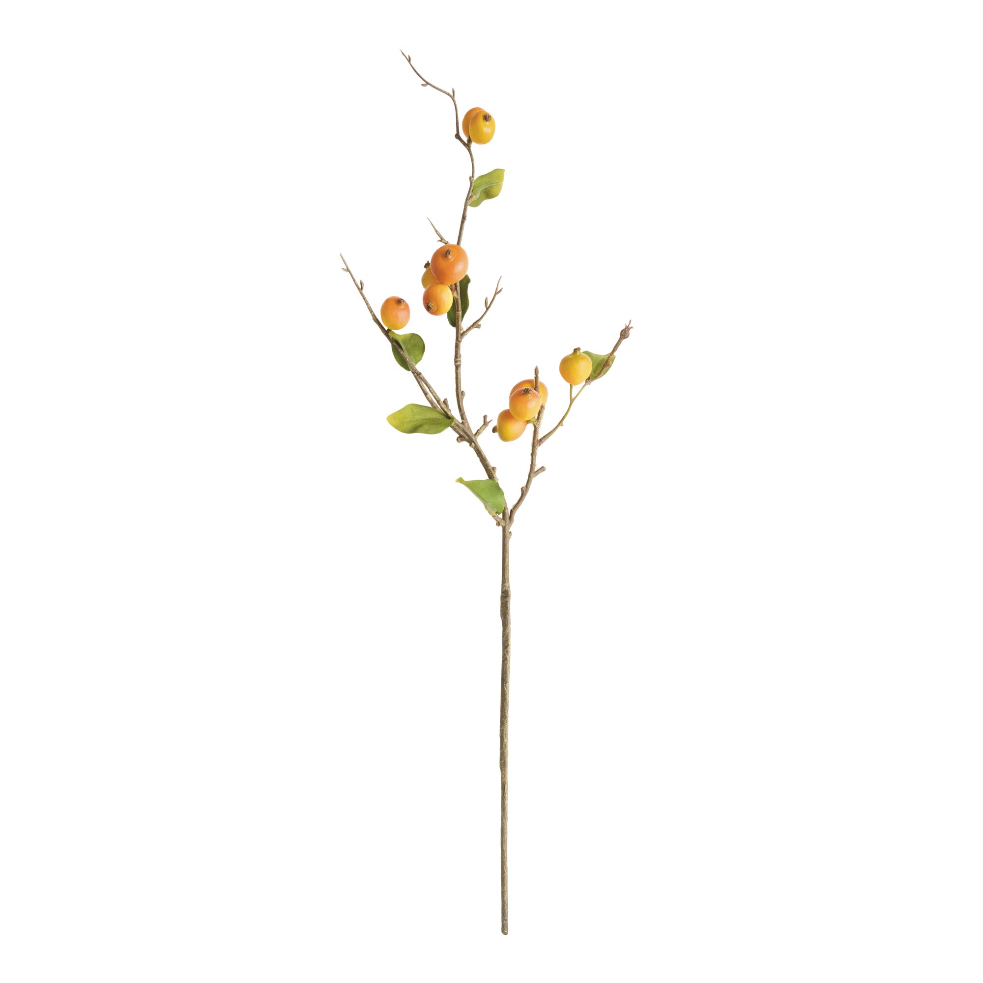 Crabapple Stems St/6
