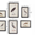 WATERFOWL GALLERY, SET OF 6 - view 2