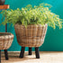 SOFT FERN DROP-IN 36" - view 2