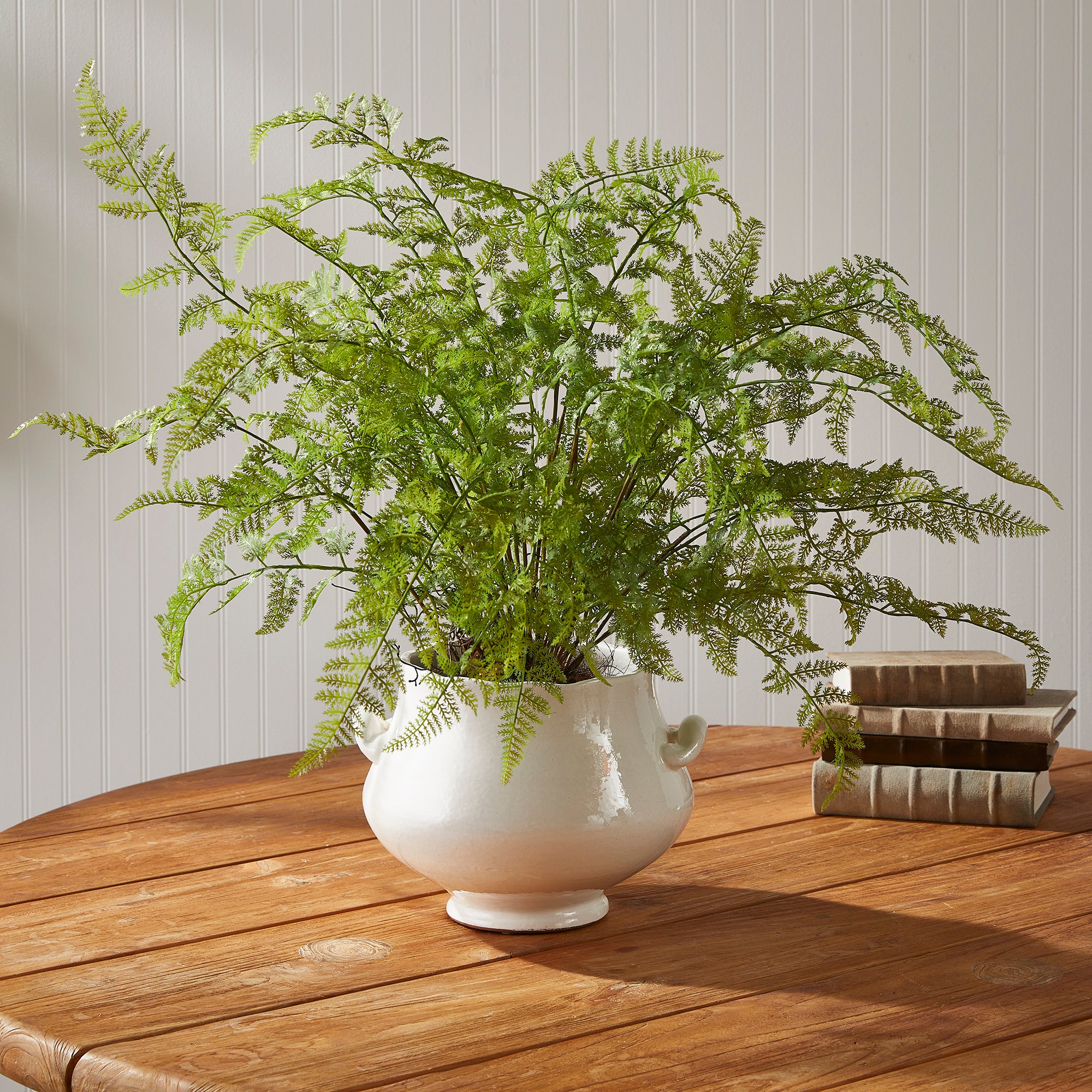 Soft Fern Drop-In 36" - View 3