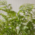 SOFT FERN DROP-IN 36" - view 4