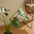 ALOCASIA POTTED 42" - view 8