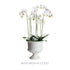 Mirabelle Decorative Pedestal Bowl Large - View 9