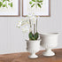 MIRABELLE DECORATIVE PEDESTAL BOWL SMALL - view 4