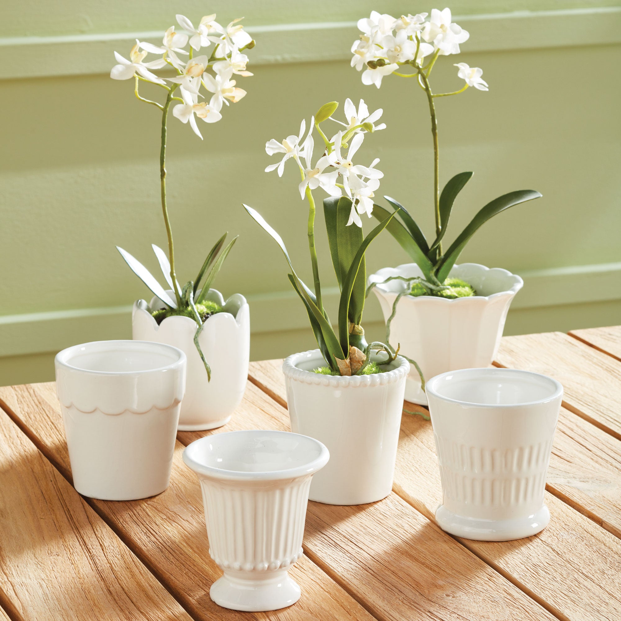 Mirabelle Mini Cachepots, Set Of 6 - View 9