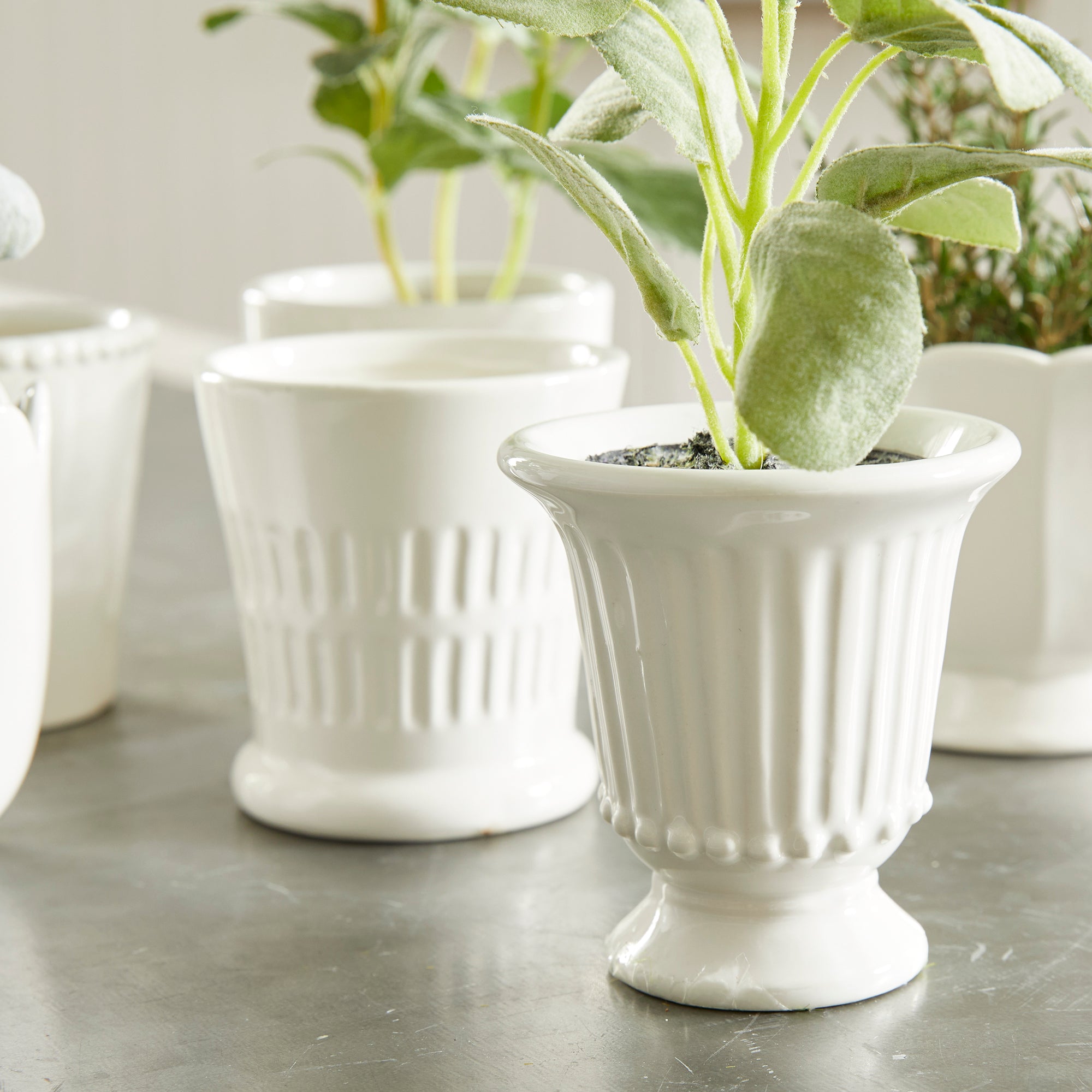 Mirabelle Mini Cachepots, Set Of 6 - View 12