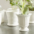 Mirabelle Mini Cachepots, Set Of 6 - View 12