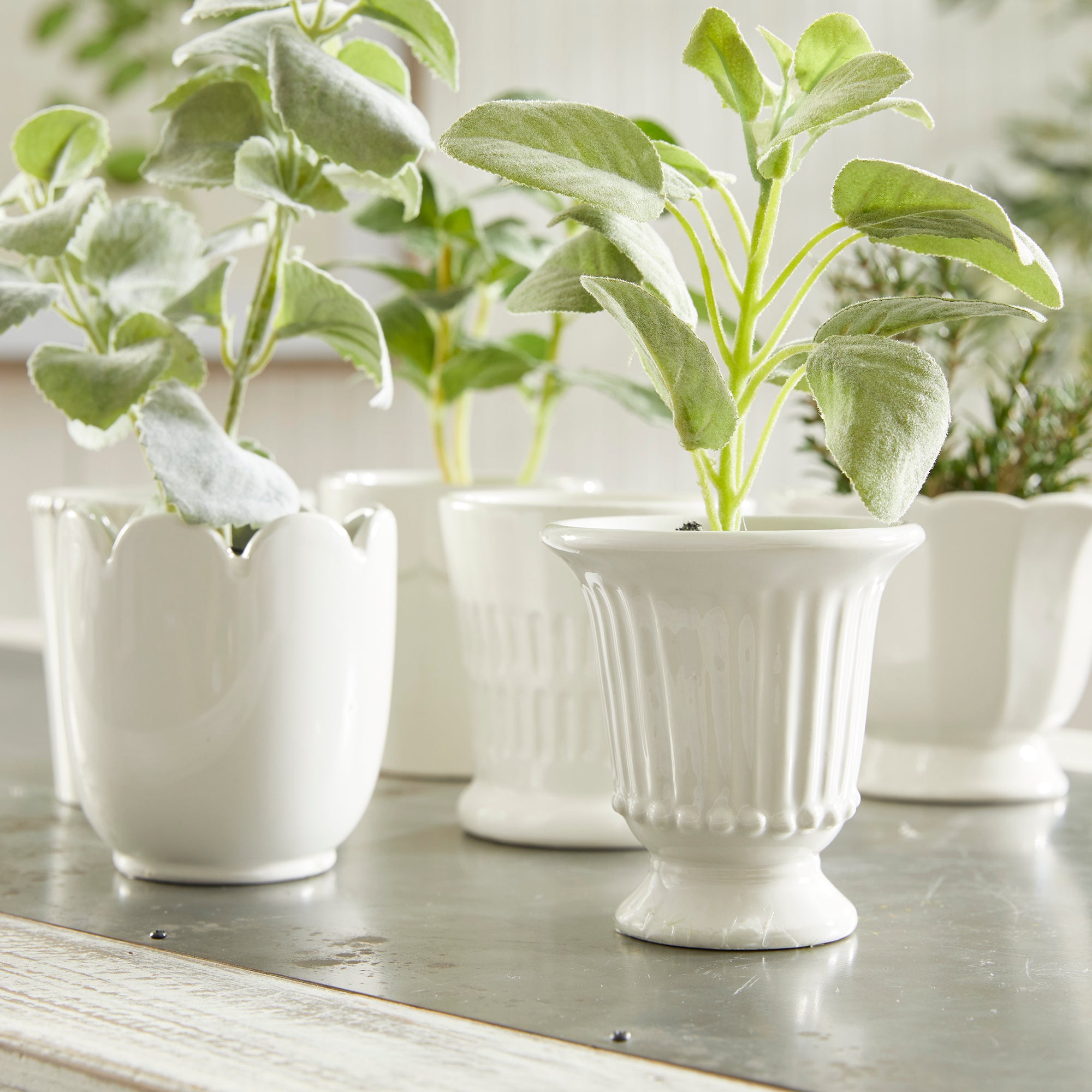 Mirabelle Mini Cachepots, Set Of 6 - View 13
