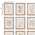 BOTANICAL ILLUSTRATIONS, SET OF 9 - view 2