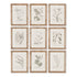 BOTANICAL ILLUSTRATIONS, SET OF 9