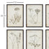 Wildflower Study, Set Of 6 - View 2