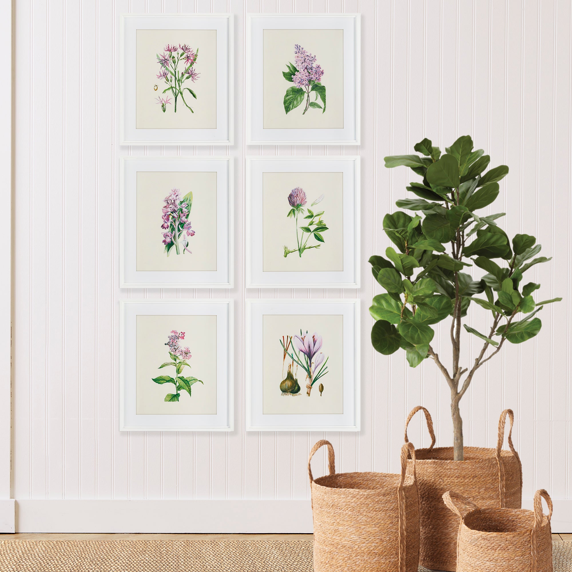 Flower Study Prints, Set Of 6 - View 3