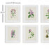 FLOWER STUDY PRINTS, SET OF 6 - view 2