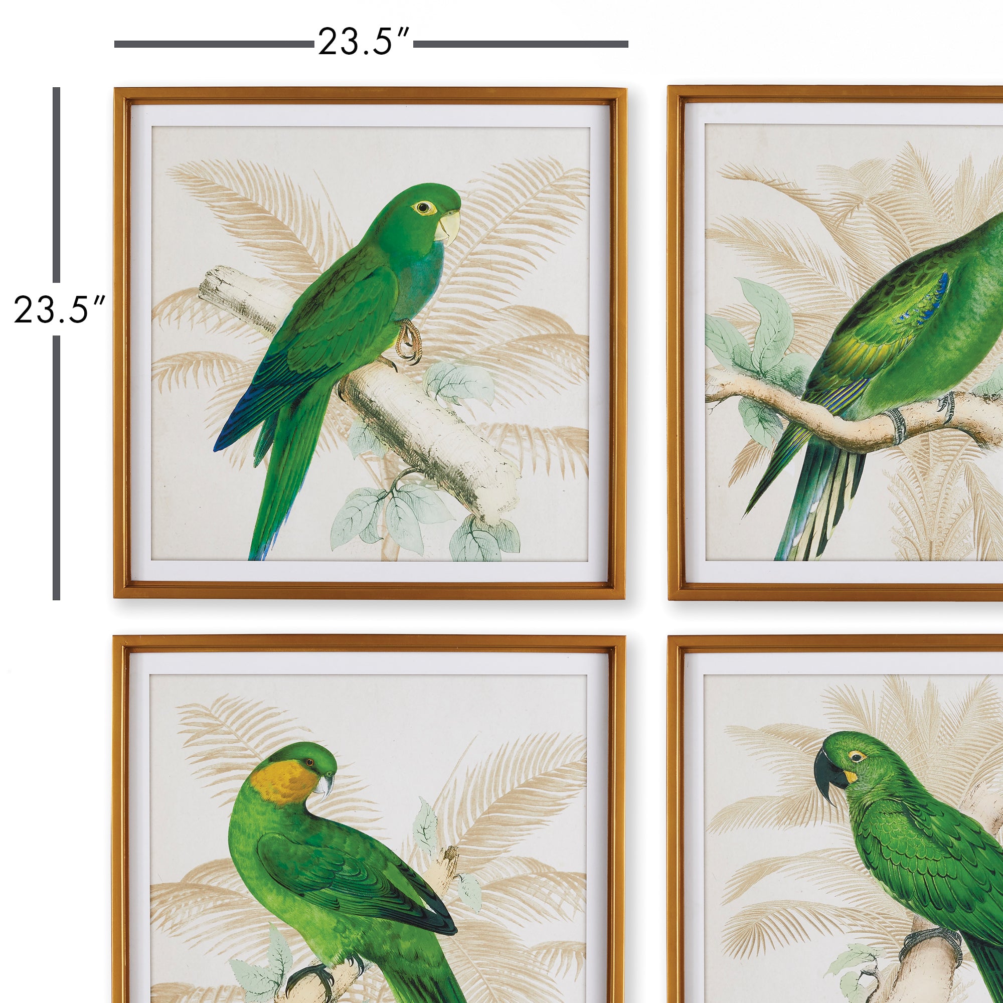 Green Parrots Study, Set Of 4 - View 2