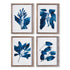 INDIGO BOTANICALS, SET OF 4