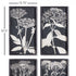 MONOCHROME QUEEN ANNE'S LACE PRINTS, SET OF 4 - view 2