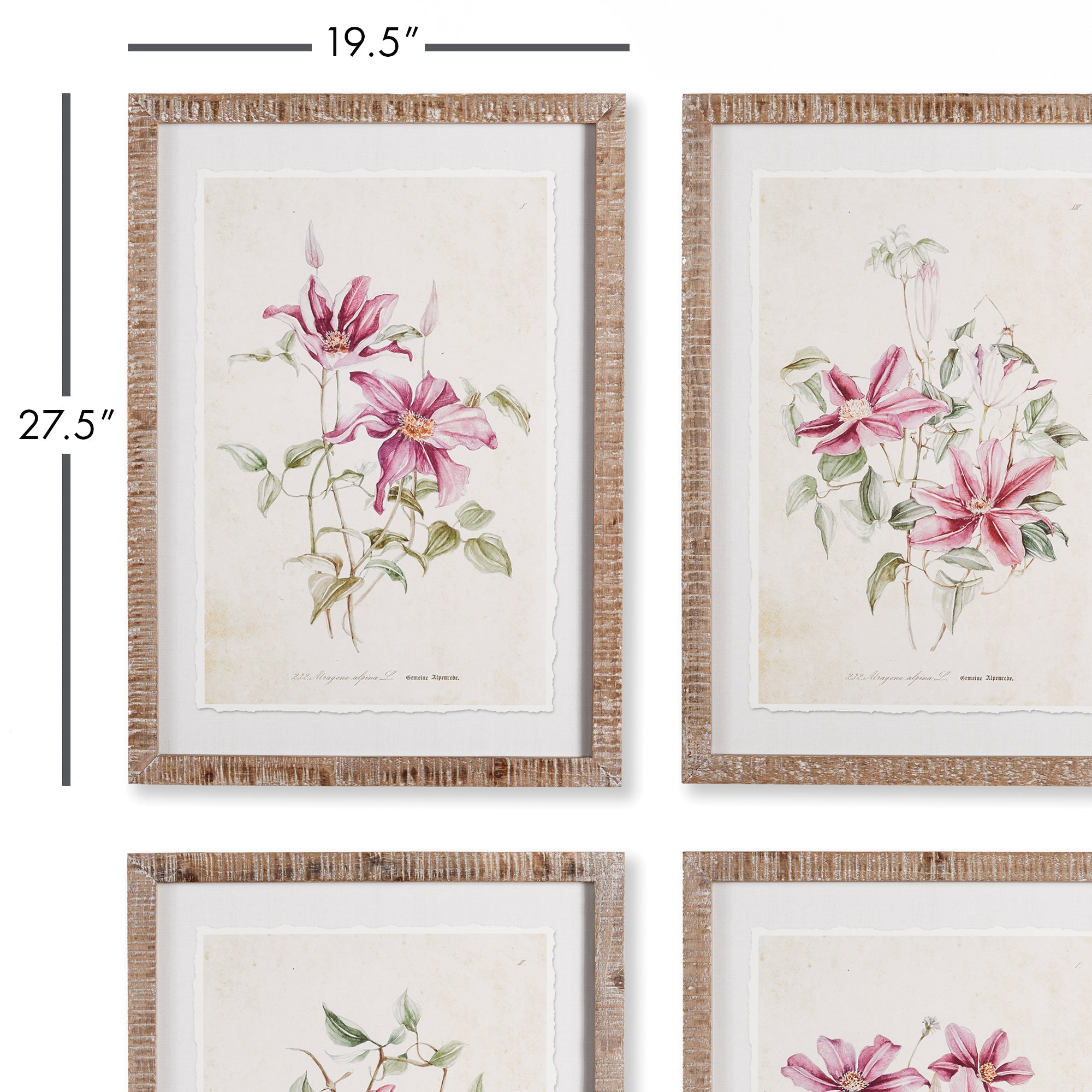 Pink Clematis Prints, Set Of 4 - View 2