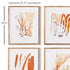 Coral Reef Study, Set Of 4 - View 2